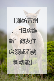 潍坊青州：“旧房焕新”激发住房领域消费新动能