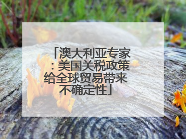 澳大利亚专家：美国关税政策给全球贸易带来不确定性