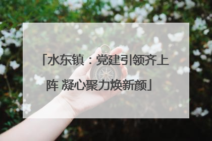 水东镇：党建引领齐上阵 凝心聚力焕新颜