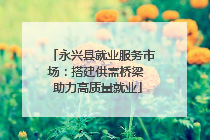 永兴县就业服务市场：搭建供需桥梁 助力高质量就业