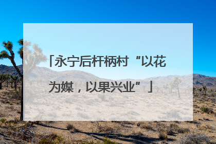 永宁后杆柄村“以花为媒，以果兴业”