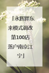 永辉胖东来模式调改第100店落户南京江宁
