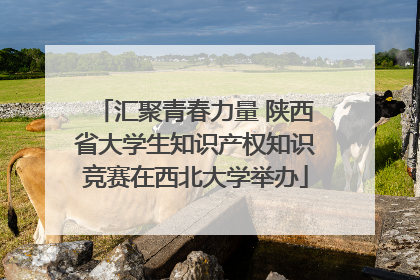 汇聚青春力量 陕西省大学生知识产权知识竞赛在西北大学举办