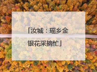 汝城：瑶乡金银花采摘忙