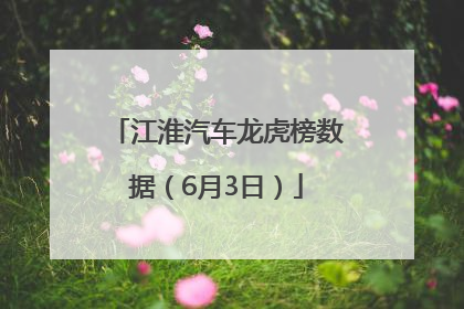 江淮汽车龙虎榜数据（6月3日）