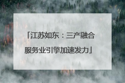 江苏如东：三产融合 服务业引擎加速发力