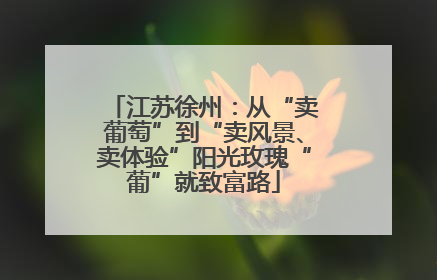 江苏徐州：从“卖葡萄”到“卖风景、卖体验”阳光玫瑰“葡”就致富路