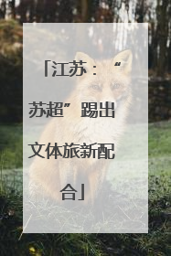 江苏：“苏超”踢出文体旅新配合