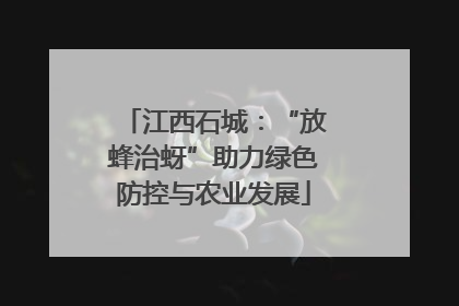 江西石城：“放蜂治蚜”助力绿色防控与农业发展