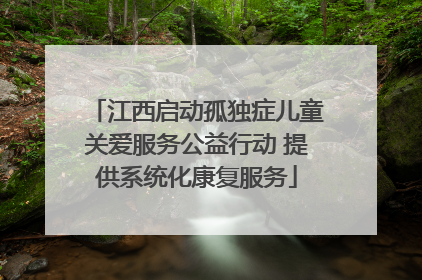江西启动孤独症儿童关爱服务公益行动 提供系统化康复服务
