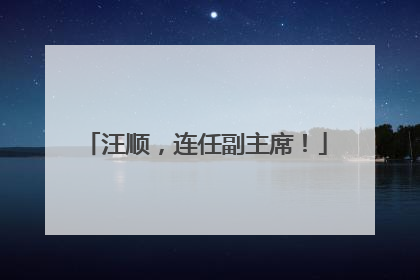 汪顺，连任副主席！