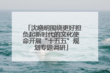 沈晓明围绕更好担负起新时代的文化使命开展“十五五”规划专题调研