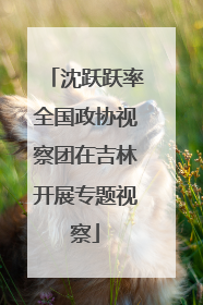 沈跃跃率全国政协视察团在吉林开展专题视察