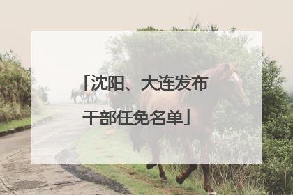 沈阳、大连发布干部任免名单