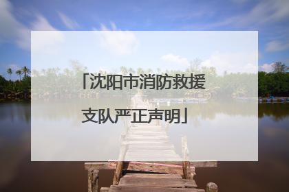 沈阳市消防救援支队严正声明