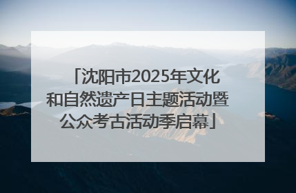 沈阳市2025年文化和自然遗产日主题活动暨公众考古活动季启幕
