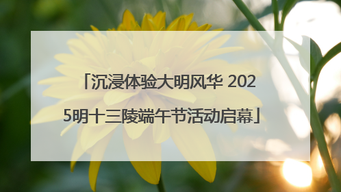 沉浸体验大明风华 2025明十三陵端午节活动启幕
