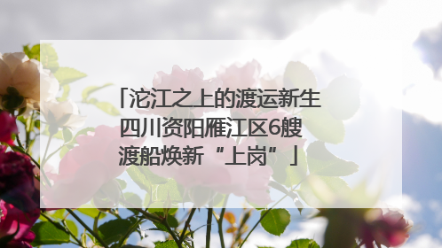 沱江之上的渡运新生 四川资阳雁江区6艘渡船焕新“上岗”