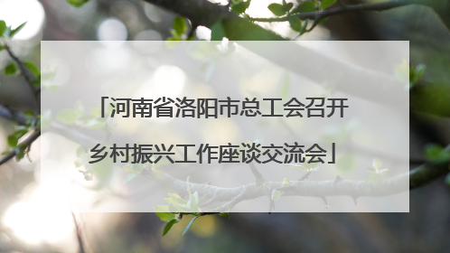 河南省洛阳市总工会召开乡村振兴工作座谈交流会