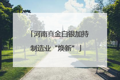 河南真金白银加持制造业“焕新”
