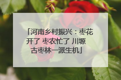 河南乡村振兴：枣花开了 枣农忙了 川塬古枣林一派生机