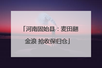 河南固始县：麦田翻金浪 抢收保归仓