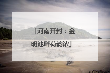 河南开封：金明池畔荷韵浓