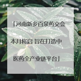 河南新乡百泉药交会本月将启 旨在打造中医药全产业链平台