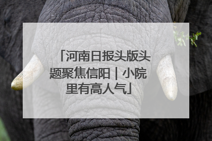 河南日报头版头题聚焦信阳｜小院里有高人气