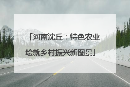 河南沈丘：特色农业绘就乡村振兴新图景