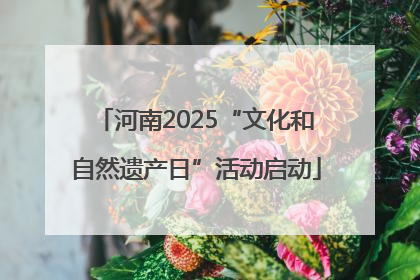 河南2025“文化和自然遗产日”活动启动