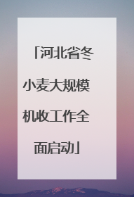河北省冬小麦大规模机收工作全面启动