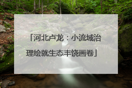 河北卢龙：小流域治理绘就生态丰饶画卷