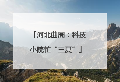 河北曲周：科技小院忙“三夏”