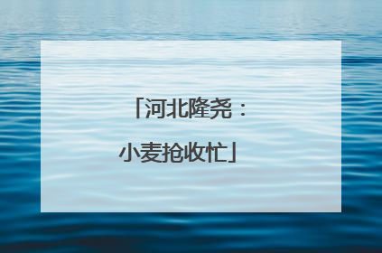 河北隆尧：小麦抢收忙