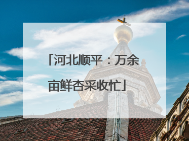 河北顺平：万余亩鲜杏采收忙