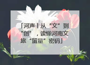 河声丨从“文”到“创”，读懂河南文旅“留量”密码