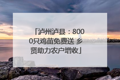 泸州泸县：8000只鸡苗免费送 乡贤助力农户增收