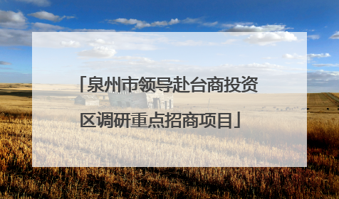 泉州市领导赴台商投资区调研重点招商项目