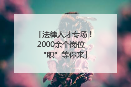 法律人才专场！2000余个岗位“职”等你来