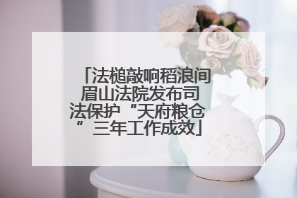 法槌敲响稻浪间 眉山法院发布司法保护“天府粮仓”三年工作成效