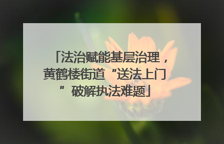 法治赋能基层治理，黄鹤楼街道“送法上门”破解执法难题