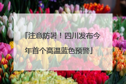 注意防暑！四川发布今年首个高温蓝色预警