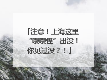 注意！上海这里“嘤嘤怪”出没！你见过没？！