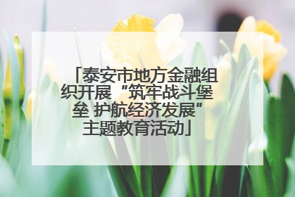 泰安市地方金融组织开展“筑牢战斗堡垒 护航经济发展”主题教育活动