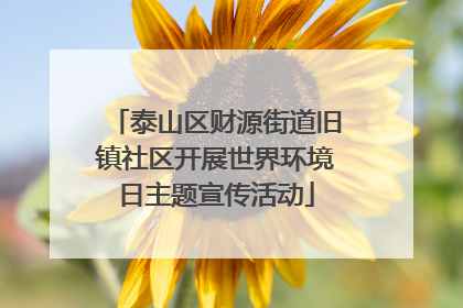 泰山区财源街道旧镇社区开展世界环境日主题宣传活动