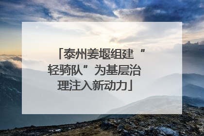 泰州姜堰组建“轻骑队”为基层治理注入新动力