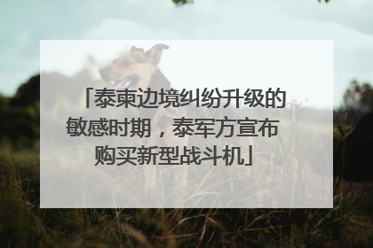 泰柬边境纠纷升级的敏感时期，泰军方宣布购买新型战斗机