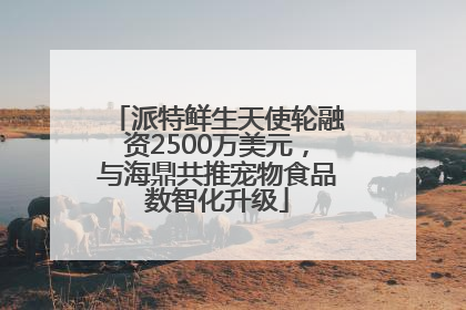 派特鲜生天使轮融资2500万美元，与海鼎共推宠物食品数智化升级