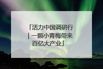 活力中国调研行｜一颗小青梅带来百亿大产业